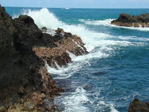 Hotel Tropical 4*