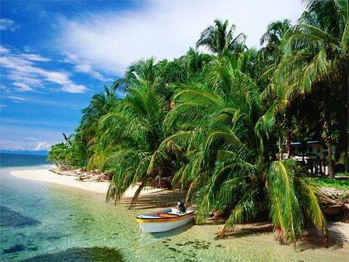 Tropical